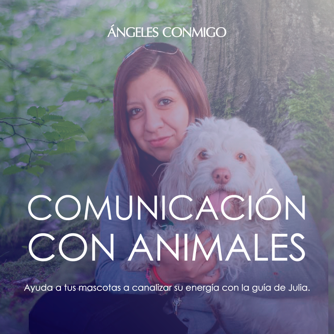Comunicación con animales